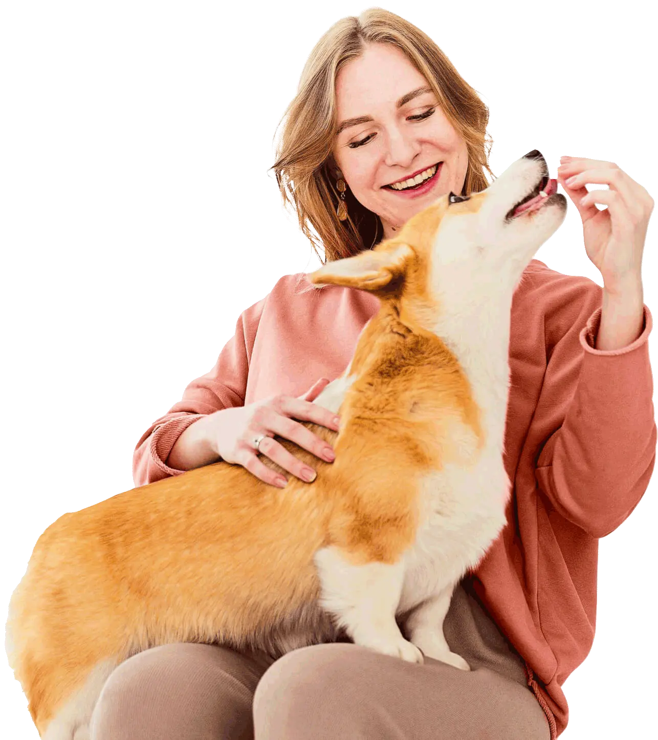 Centro Veterinário de Equídeos - Dr. Giovani Pugliesi